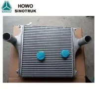 Orginal Sinotruk HOWO C5B Varuosad Intercooler Assembly WG9412531223